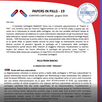 PapersInPilss19-200x200 PapersInPilss19-200x200