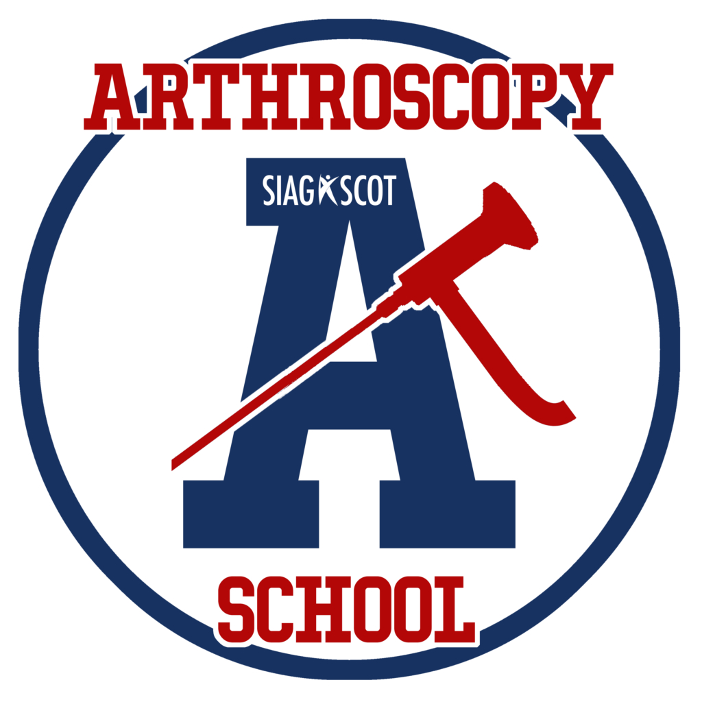 School of Arthroscopy (L1)