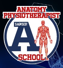 Anatomy School Physio