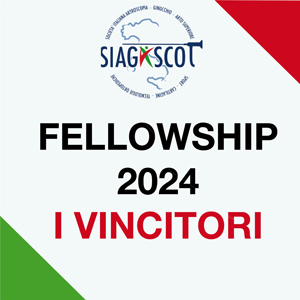 vincitori fellowship