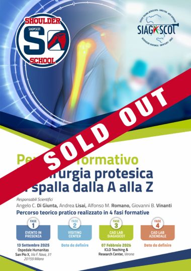 shoulder soldout pdf shoulder soldout pdf